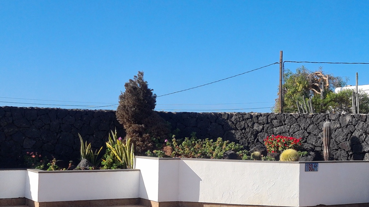 Photo of Outdoor in Los Mojones