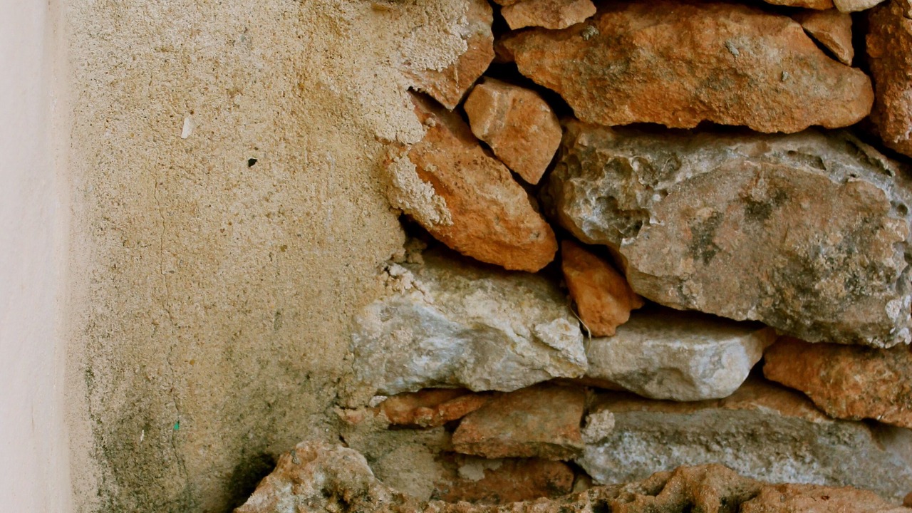 Photo of Others in Formentera