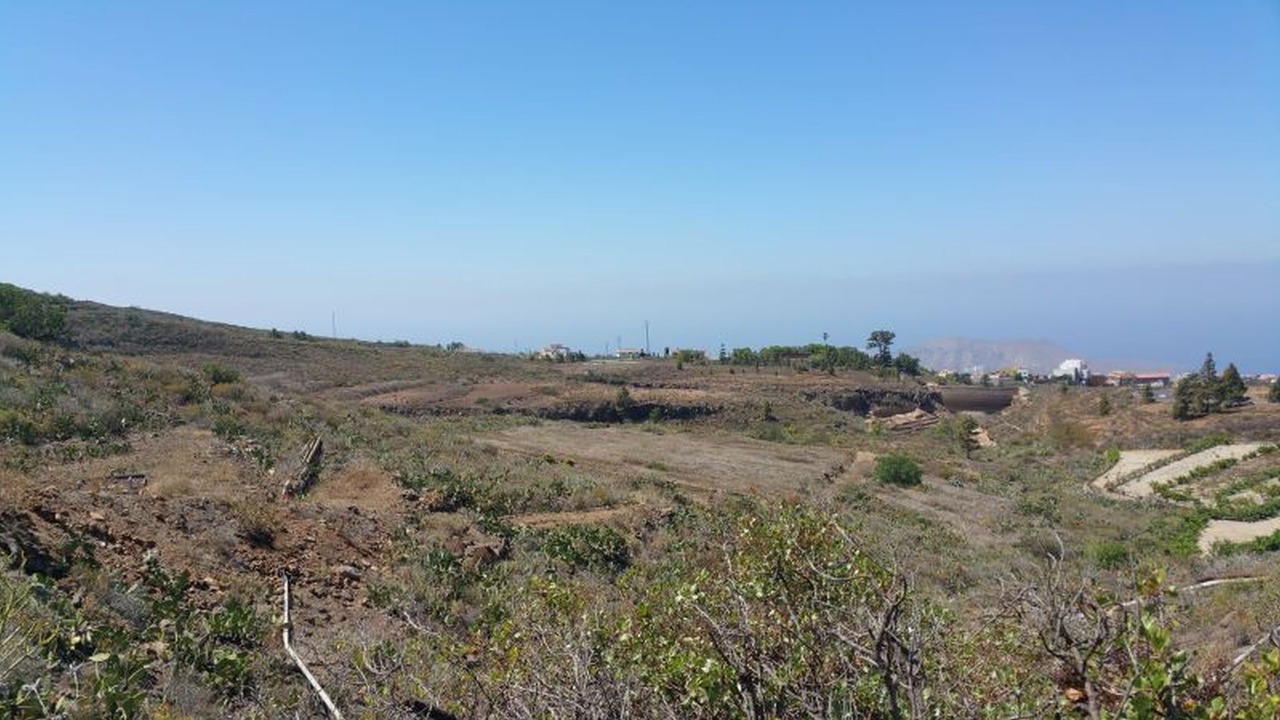 Photo of Others in Santa Cruz de Tenerife