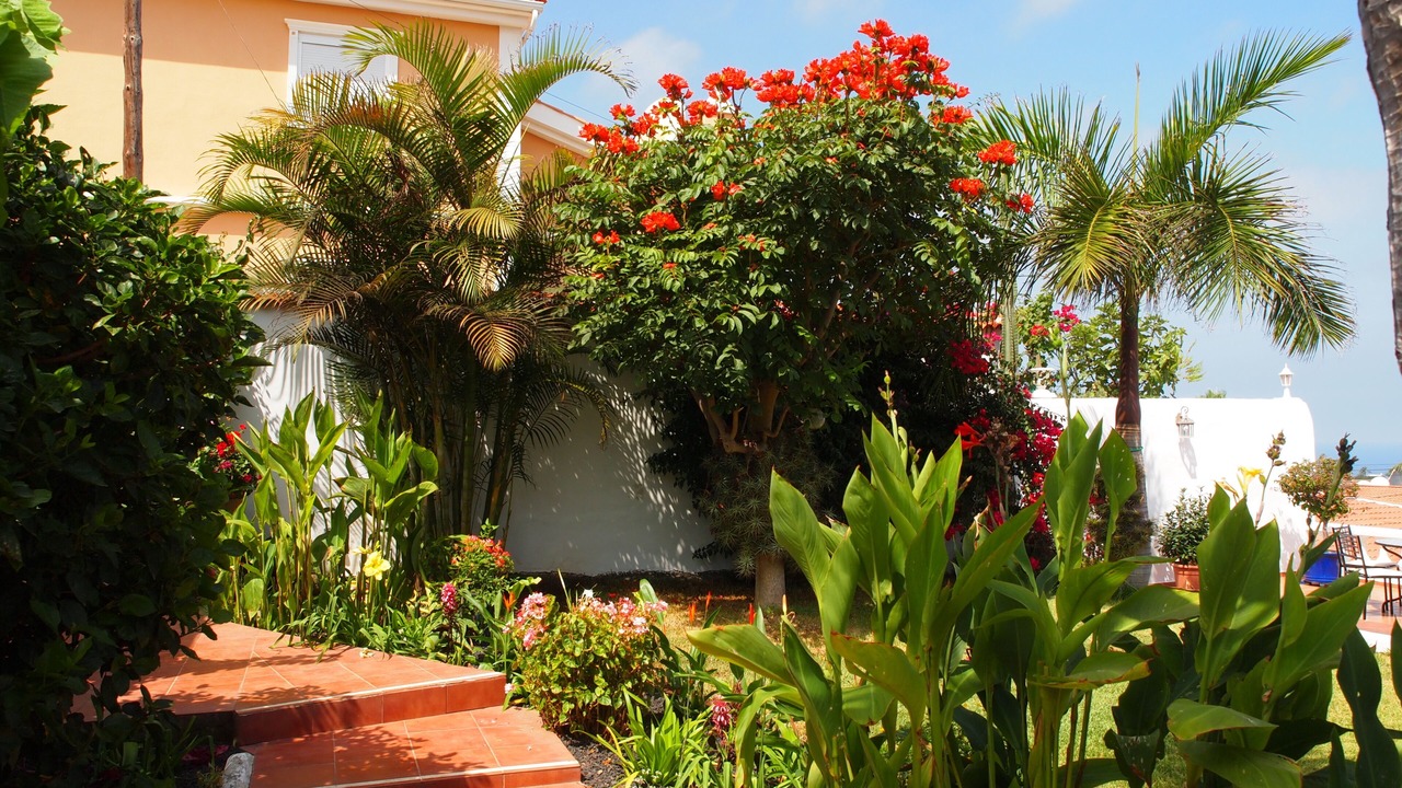 Photo of Outdoor in Las Arenas