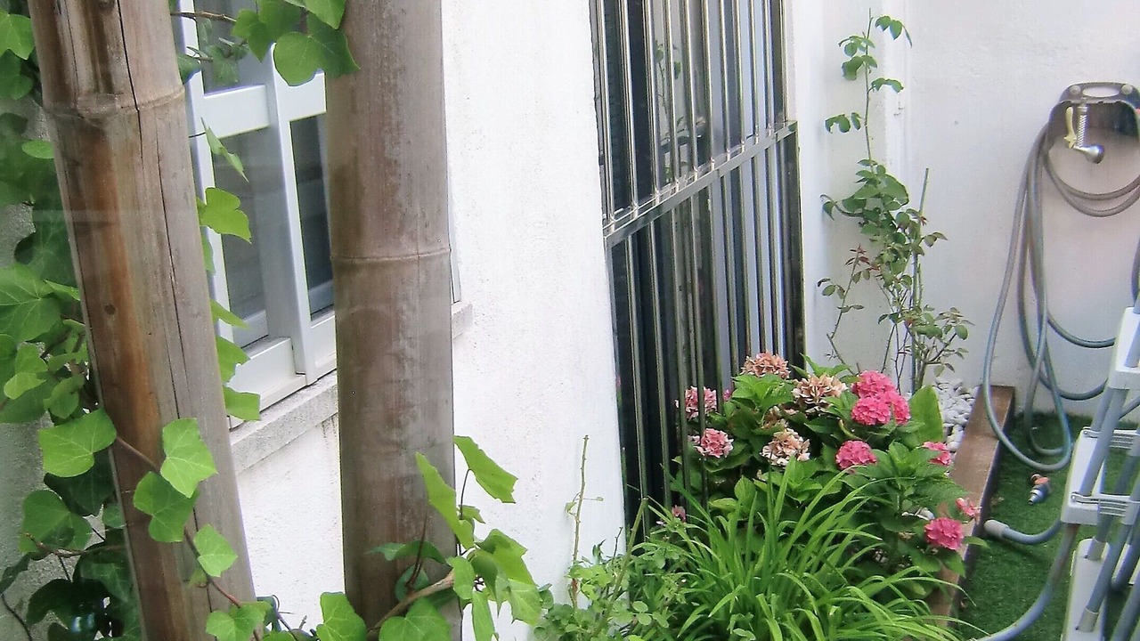 Photo of Outdoor in L'Hospitalet de Llobregat