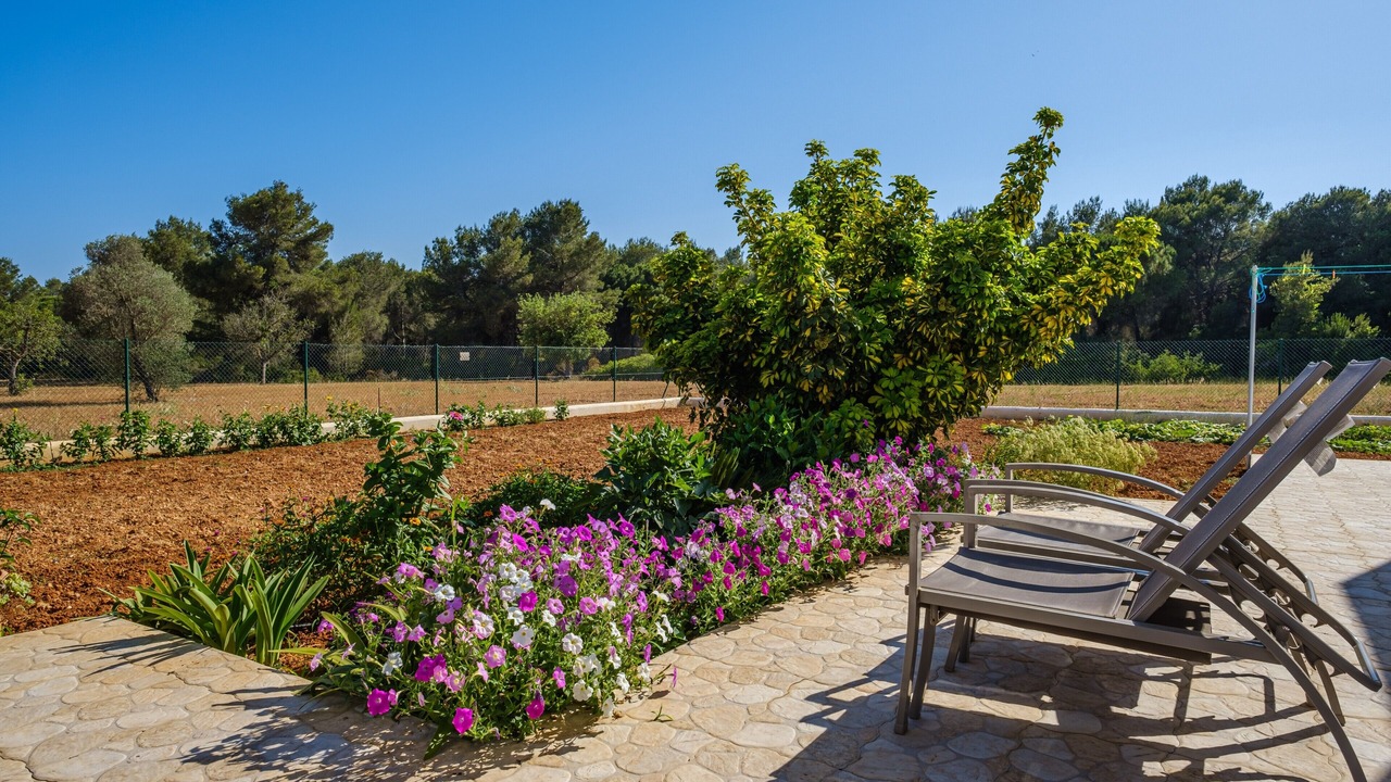 Photo of Outdoor in Sant Carles de Peralta