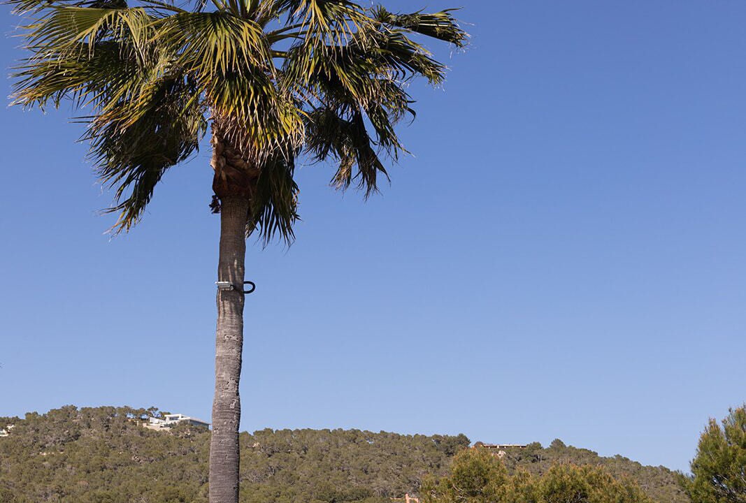 Photo of Outdoor in Puig Manya
