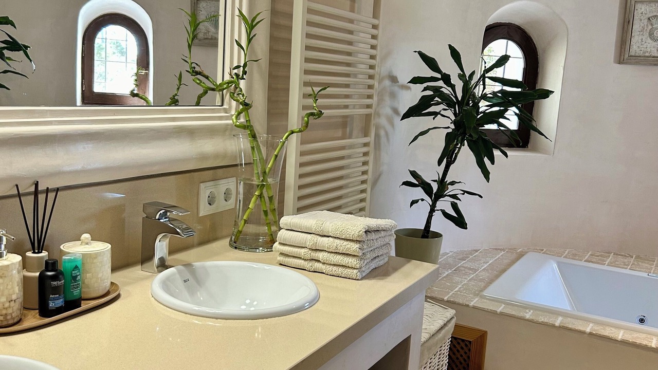 Photo of Bathroom in Sant Carles de Peralta