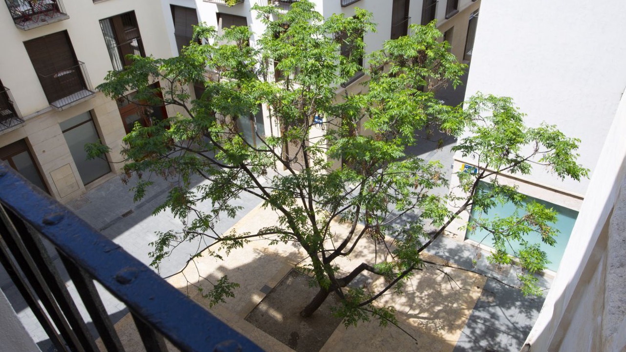 Photo of Outdoor in Valencia City Centre