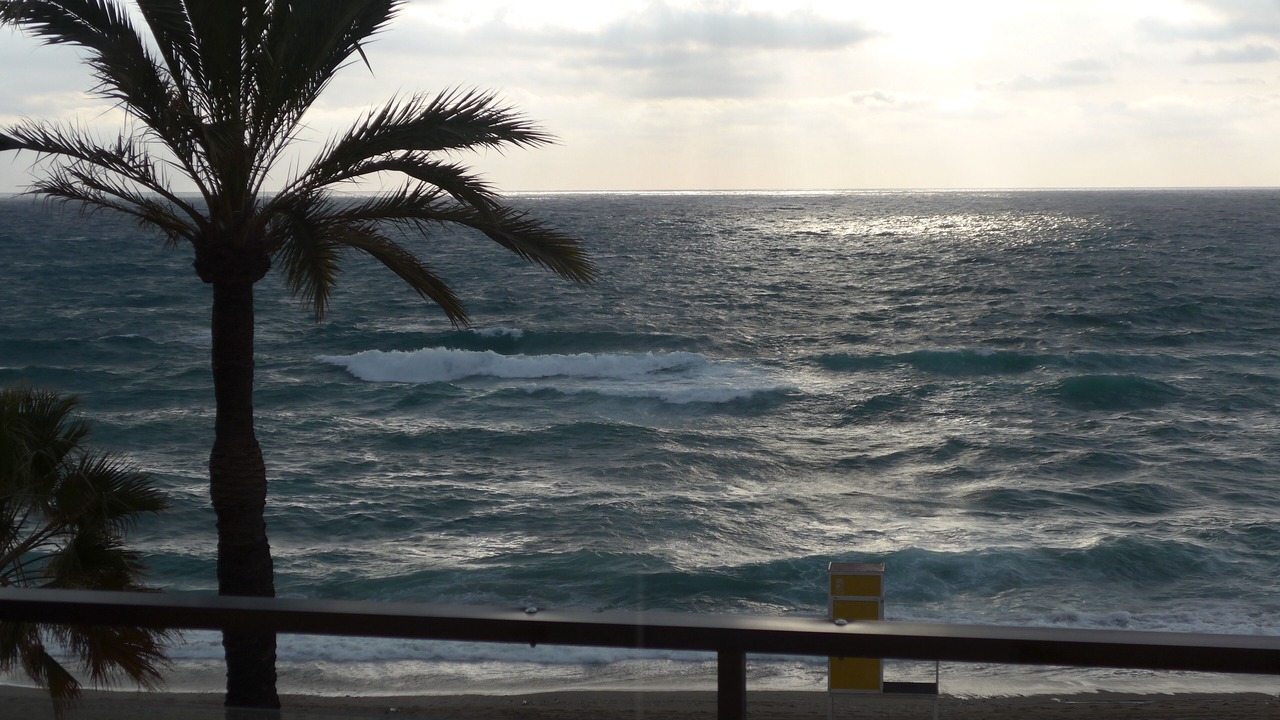 Photo of Others in Fuengirola