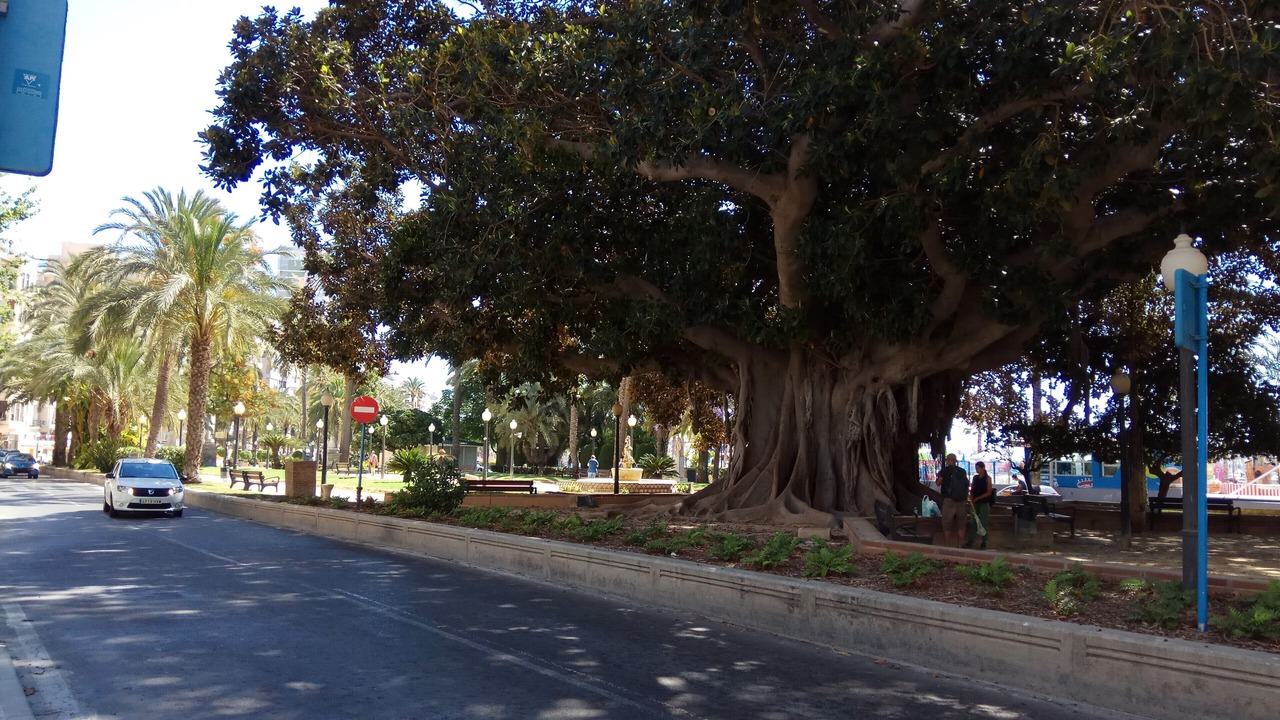 Photo of Outdoor in Ensanche Diputacion