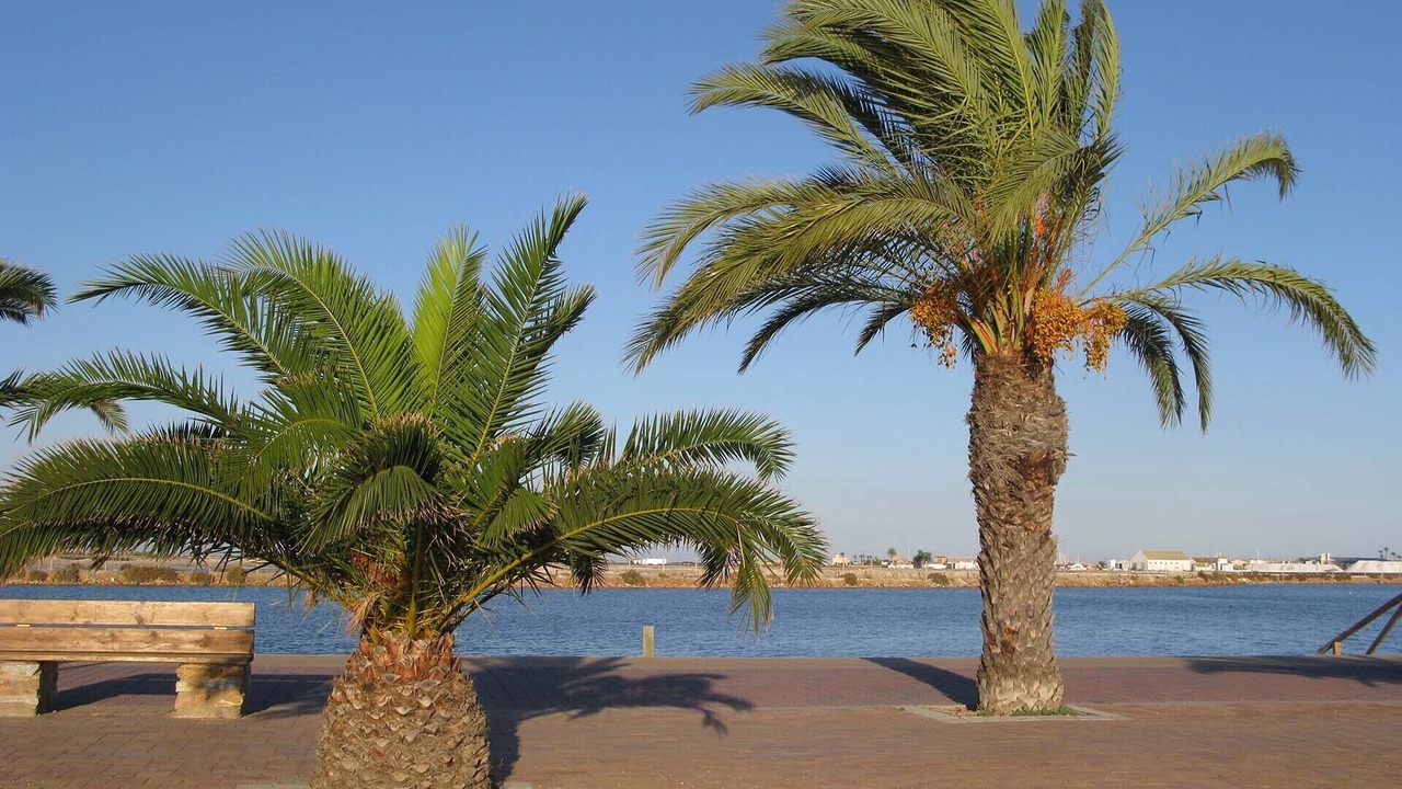 Photo of Outdoor in Los Imbernones
