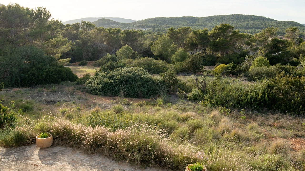 Photo of Others in Santa Eulalia del Rio