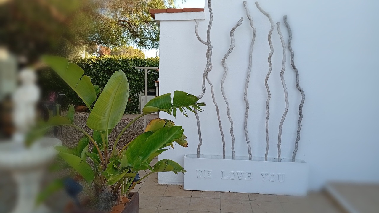 Photo of Outdoor in Es Canar