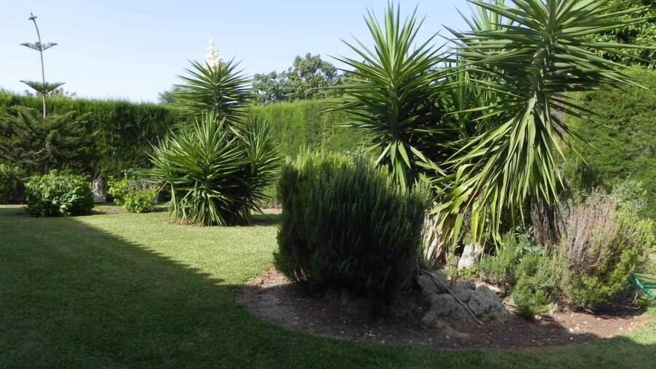 Photo of Outdoor in Campano