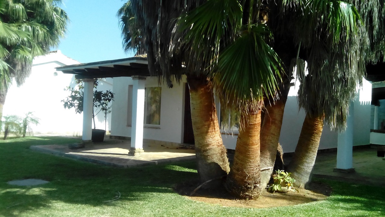 Photo of Outdoor in Conil de la Frontera