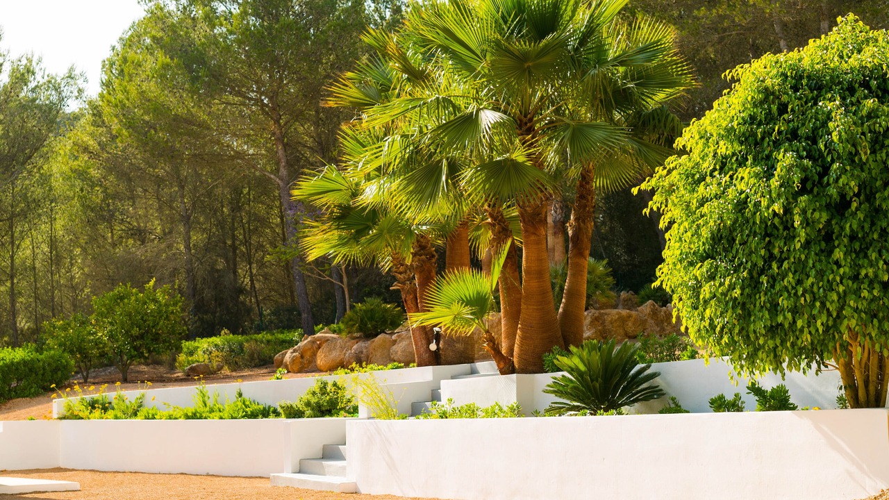 Photo of Outdoor in Santa Eulalia del Rio