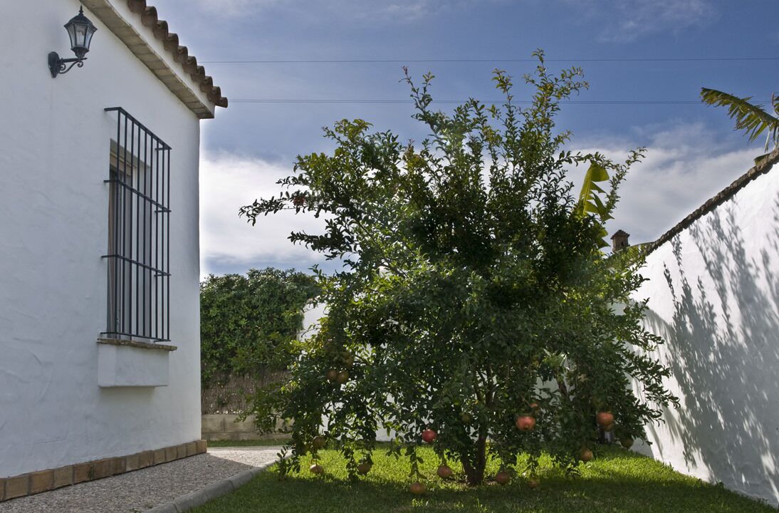 Photo of Outdoor in Campano