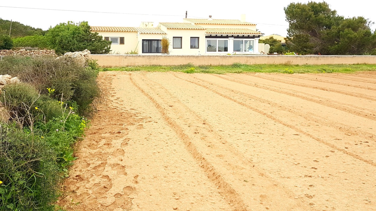 Photo of Outdoor in Sant Ferran de ses Roques