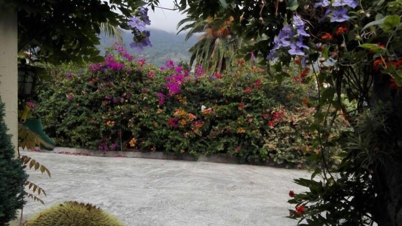 Photo of Outdoor in Brena Alta