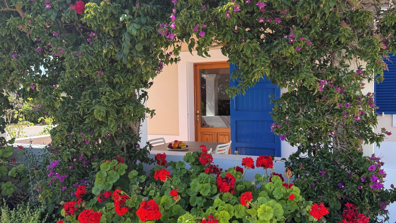 Photo of Outdoor in Sant Francesc Xavier