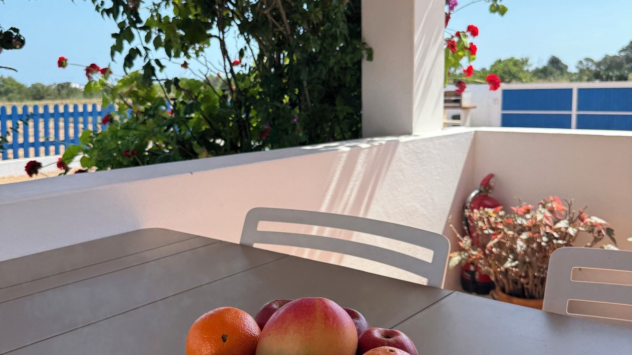 Photo of Outdoor in Sant Francesc Xavier