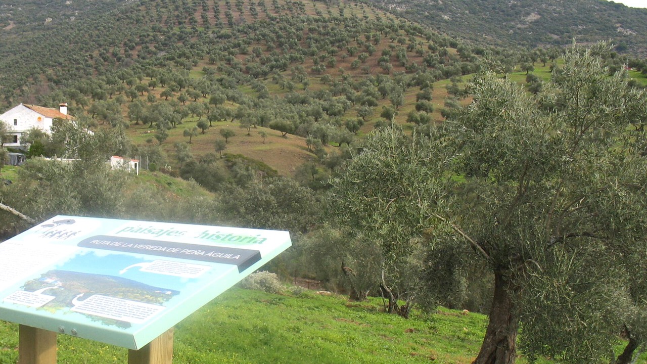 Photo of Outdoor in Pozoblanco