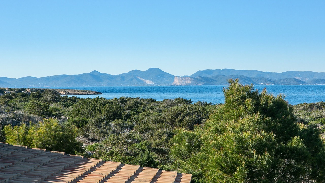 Photo of Others in La Savina