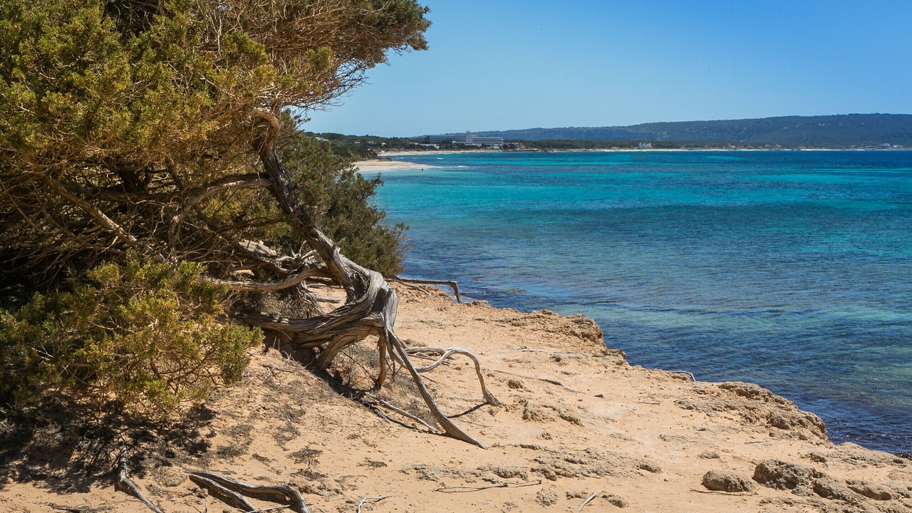 Photo of Others in Formentera