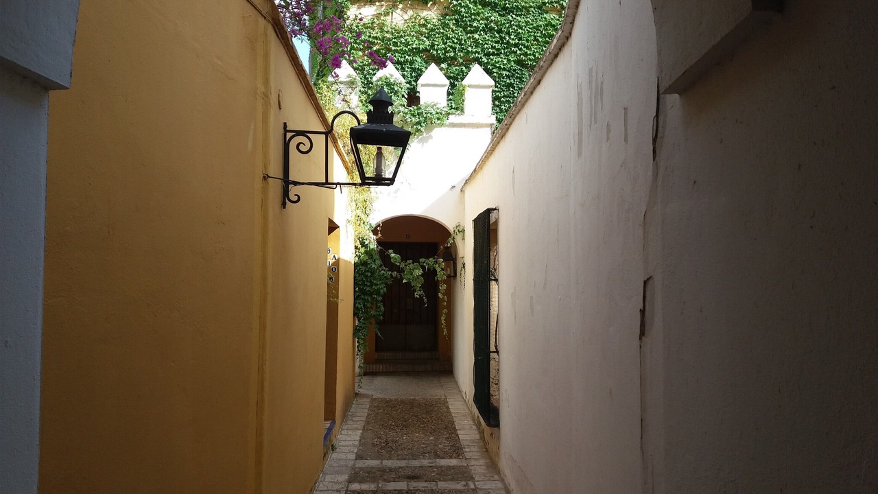 Photo of Outdoor in Santa Catalina