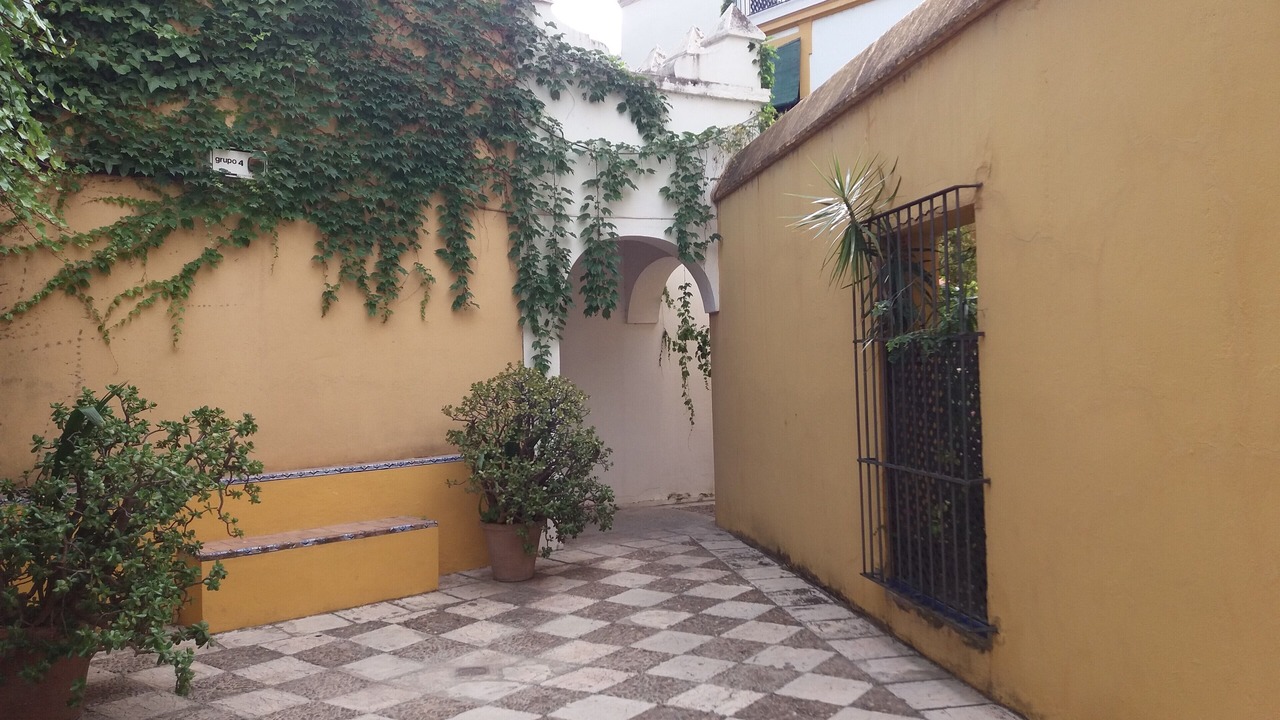 Photo of Outdoor in Santa Catalina