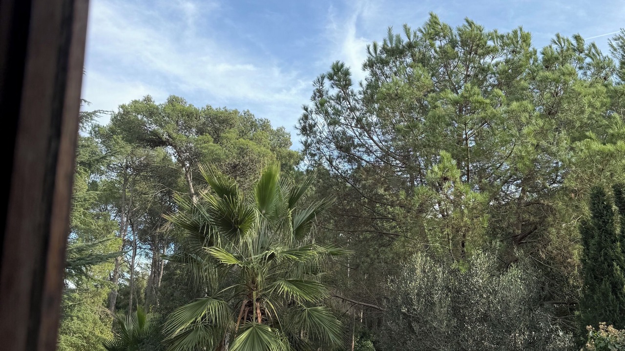 Photo of Others in Dosrius