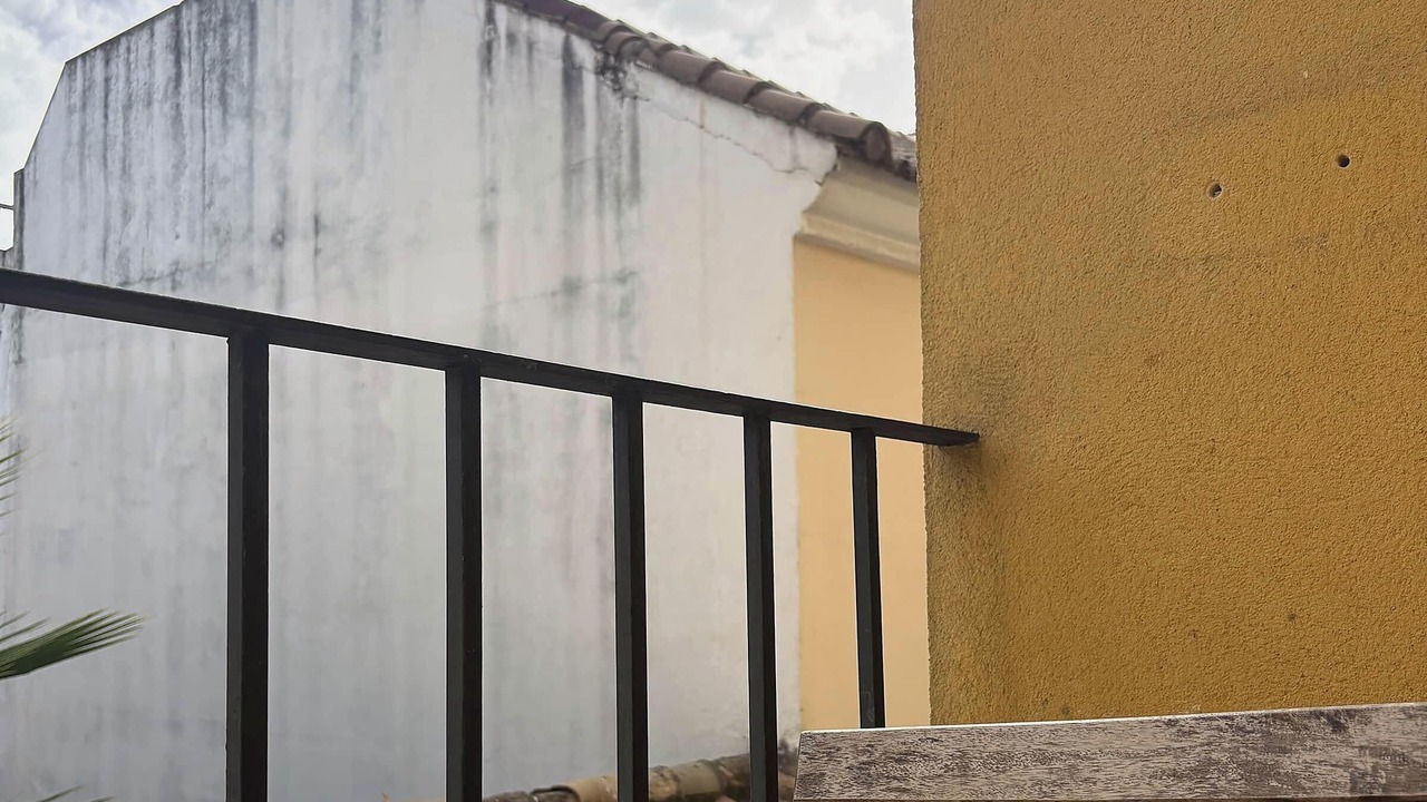 Photo of Outdoor in La Trinidad-San Juan y Todos los Santos