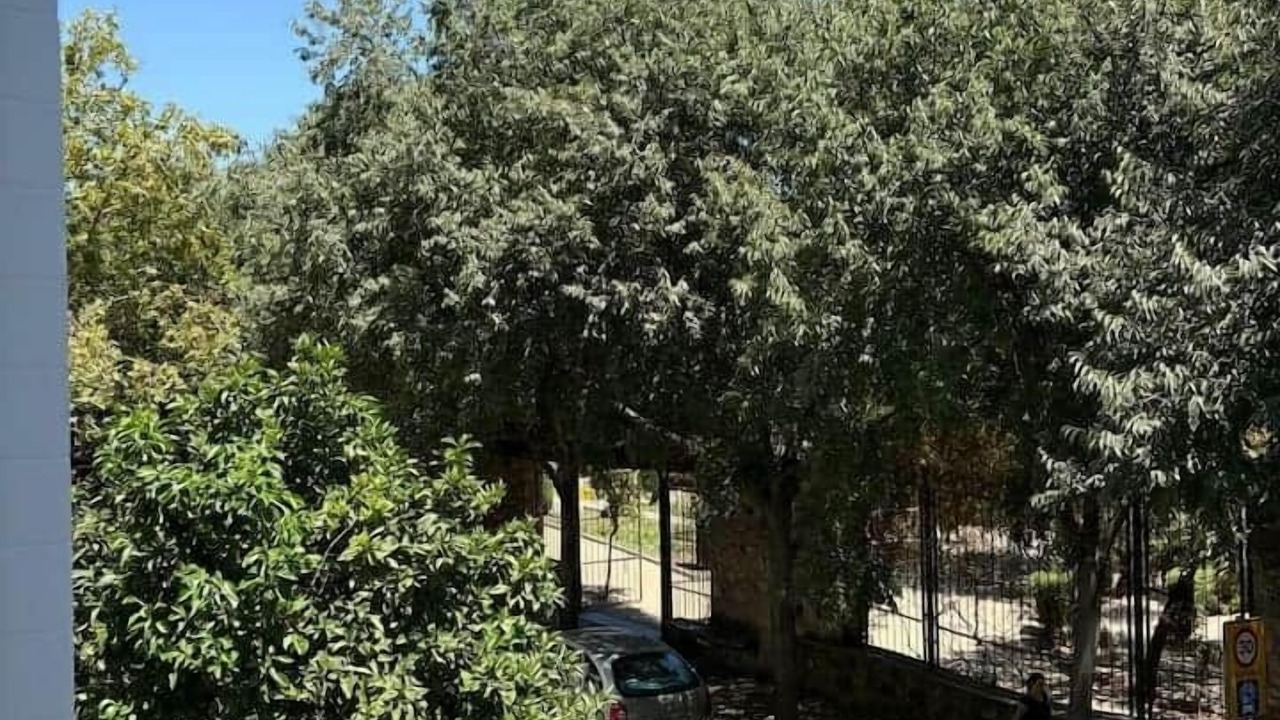 Photo of Outdoor in Ciudad Jardin