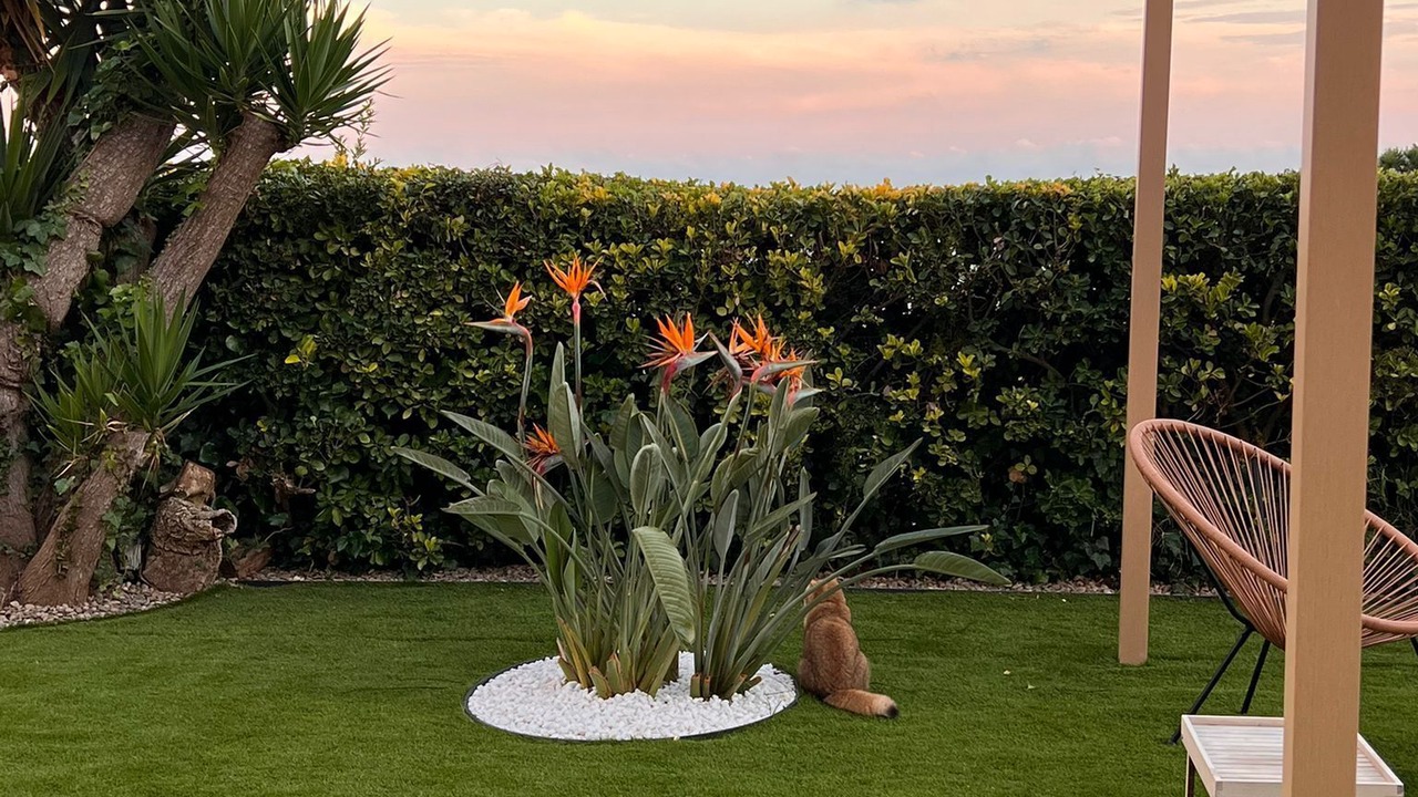Photo of Outdoor in Vilassar de Dalt