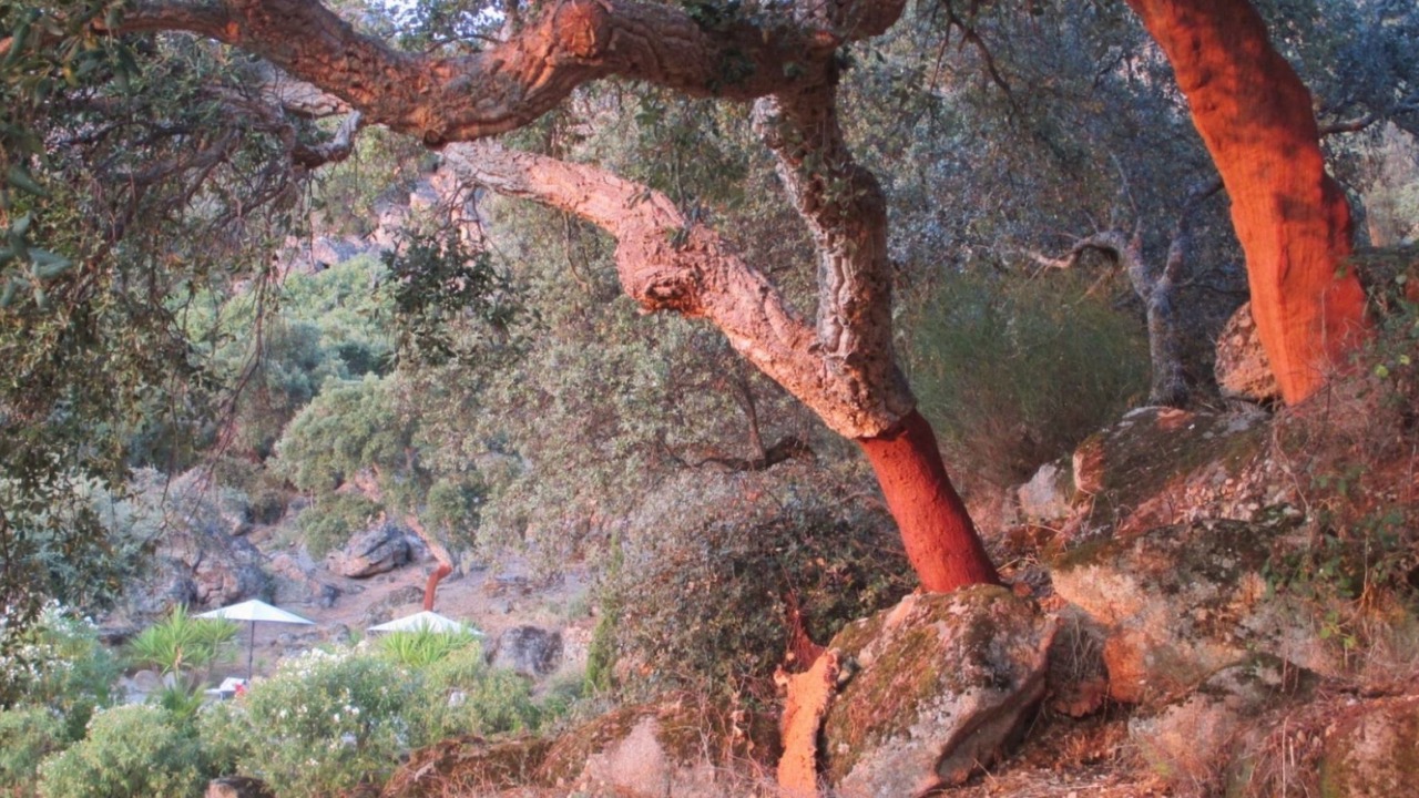 Photo of Others in Montanchez
