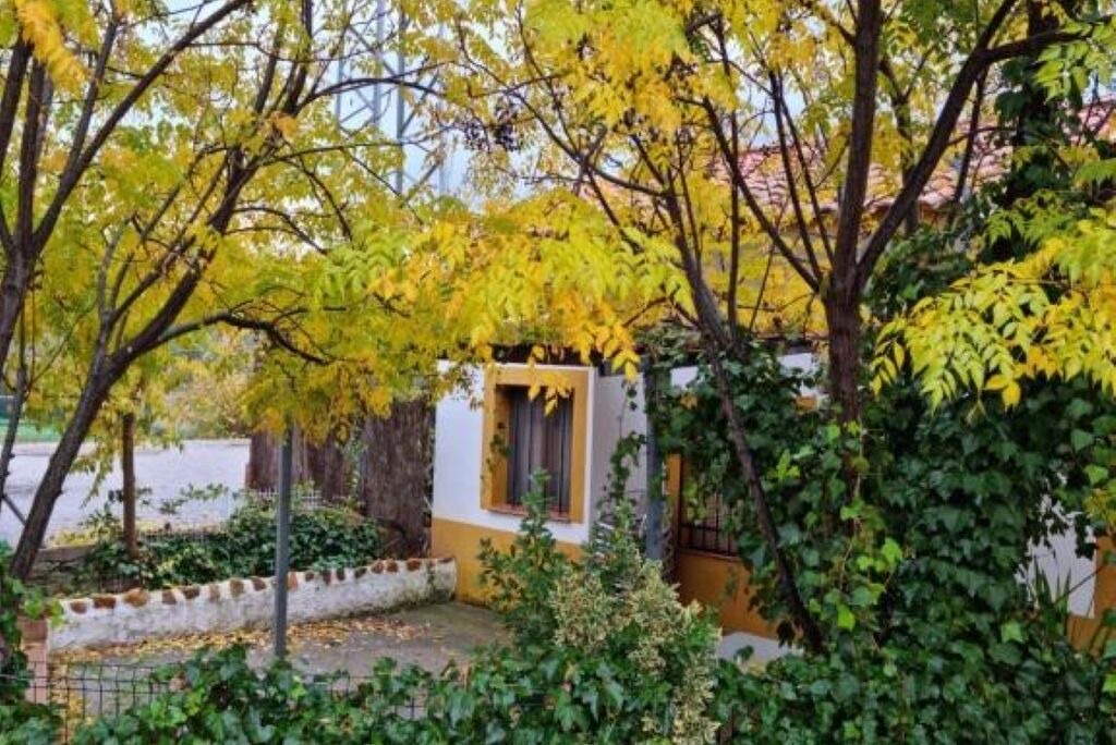Photo of Outdoor in Espiel
