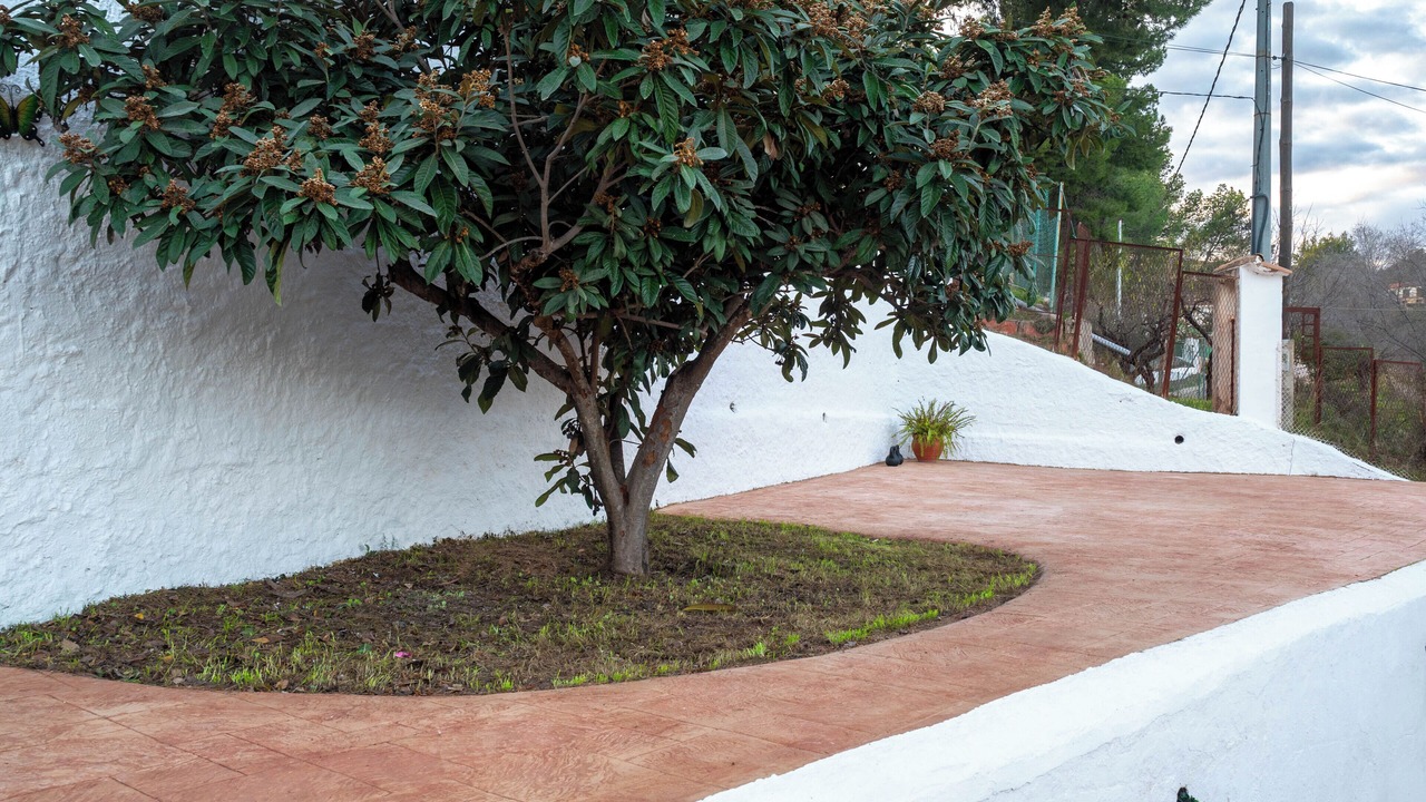 Photo of Outdoor in Calles