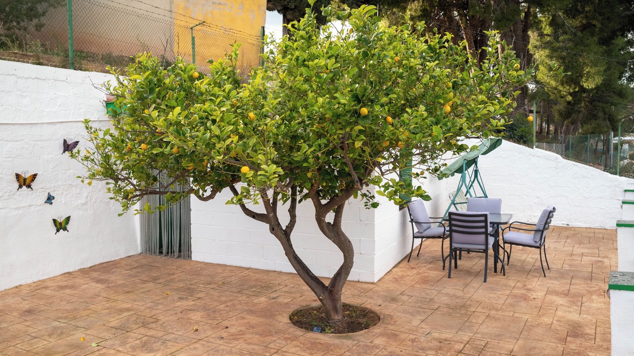 Photo of Outdoor in Calles