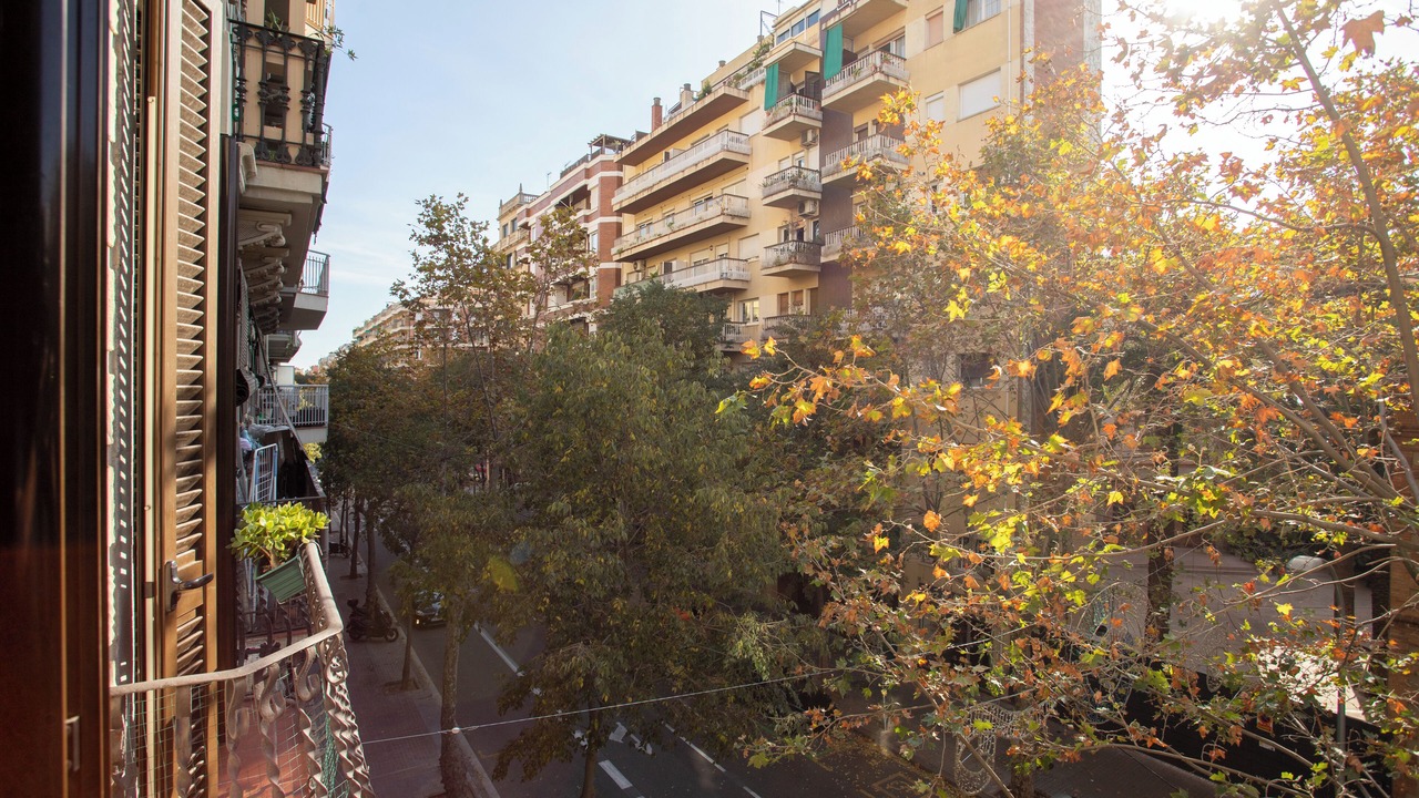 Photo of Patio Balcony in L'Antiga Esquerra de l'Eixample