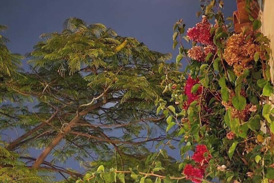 Photo of Outdoor in Maspalomas