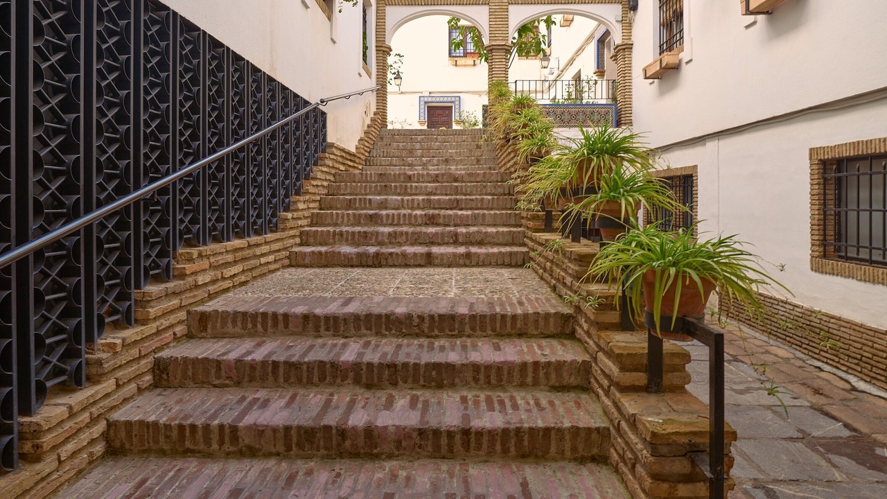 Photo of Outdoor in La Trinidad-San Juan y Todos los Santos