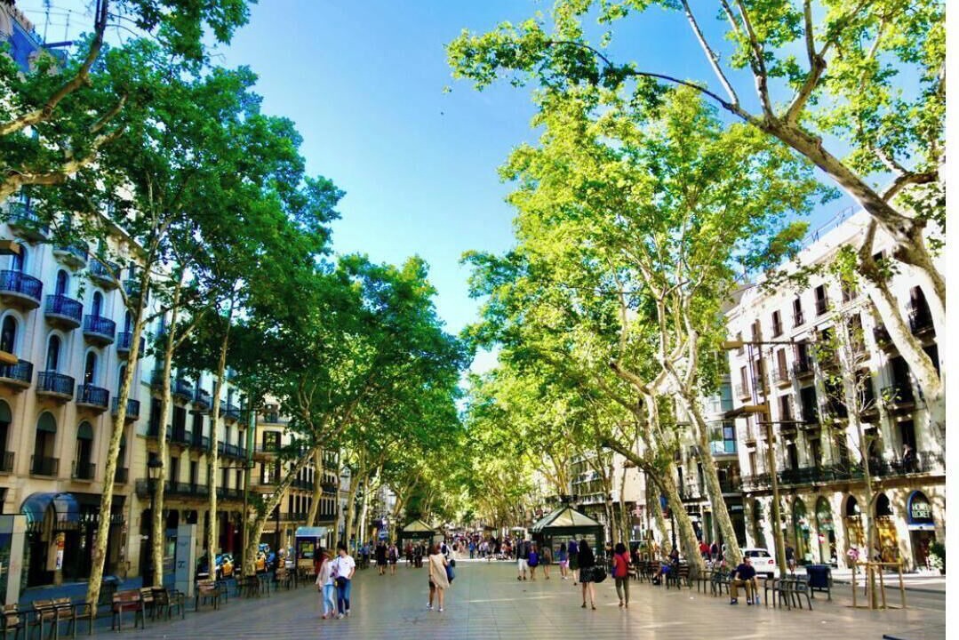 Photo of Others in Eixample