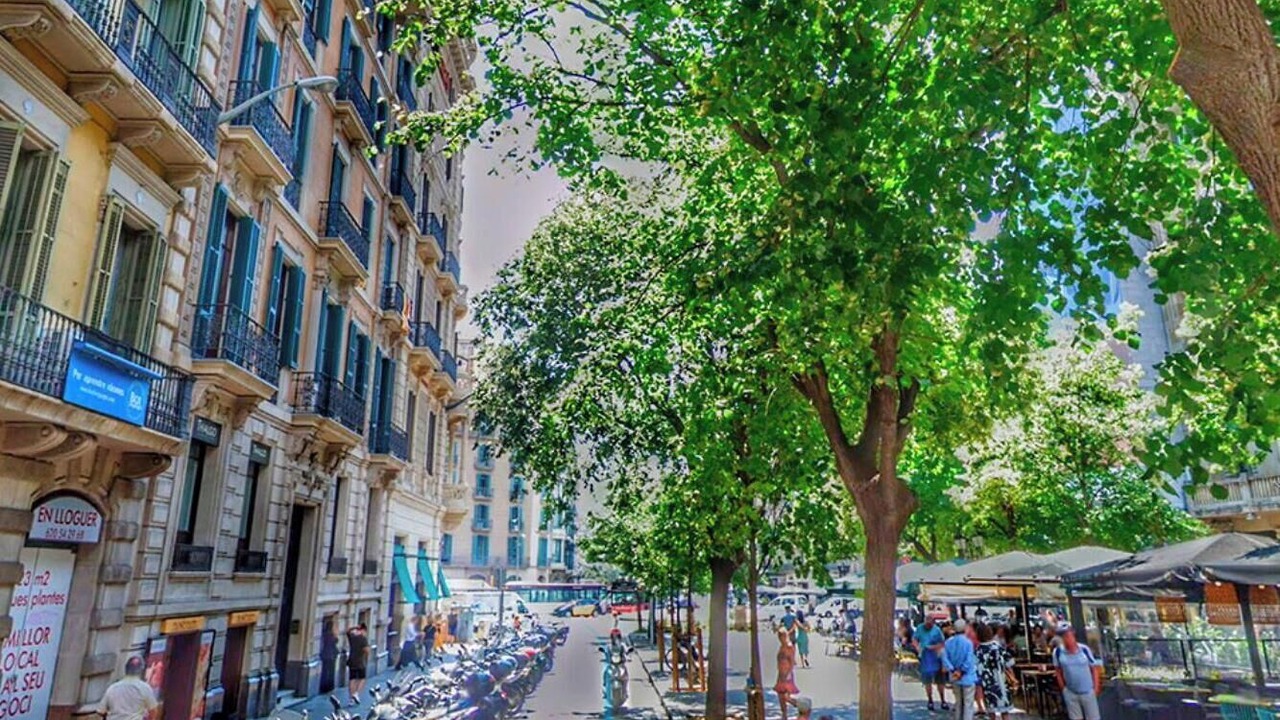 Photo of Others in Eixample