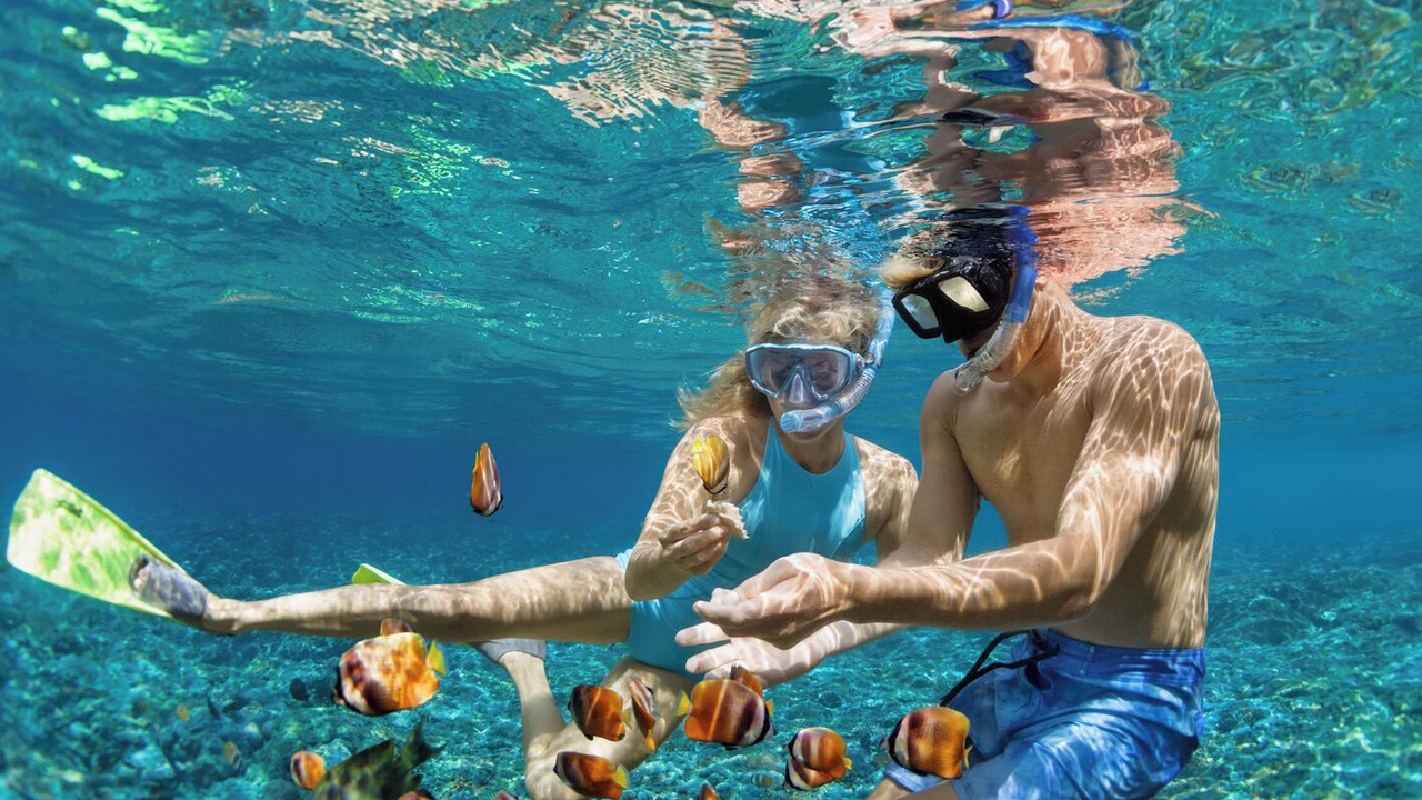 Photo of Others in Palma de Mallorca