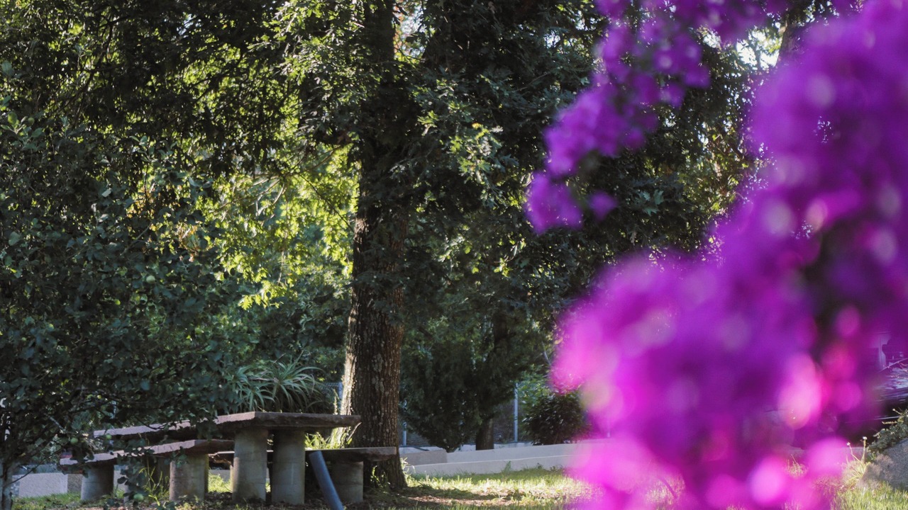 Photo of Outdoor in Bueu