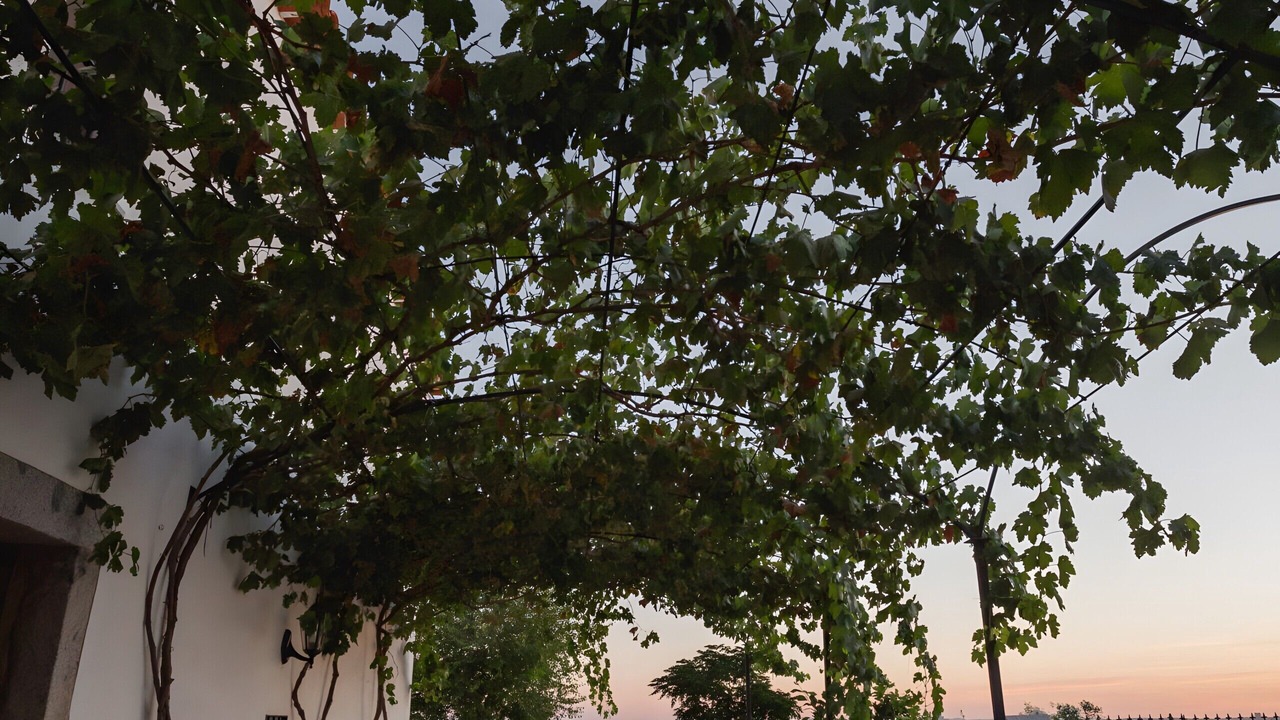 Photo of Outdoor in Pedroche