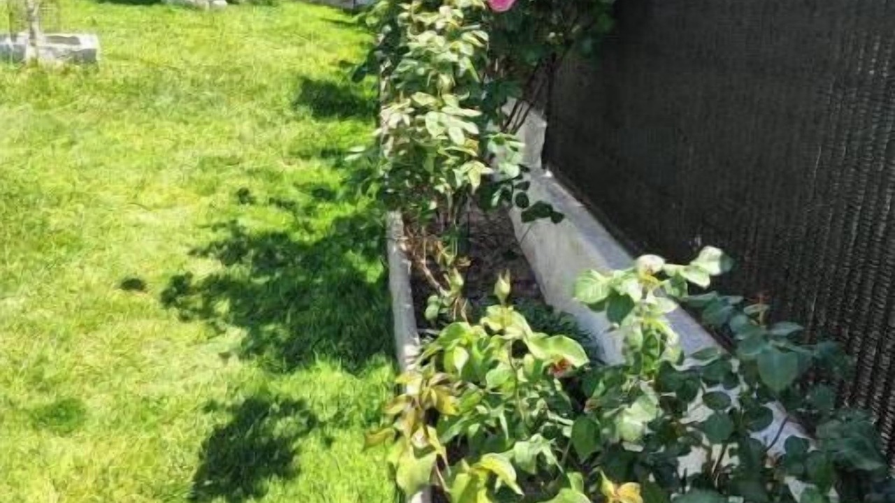 Photo of Outdoor in El Casar de Escalona