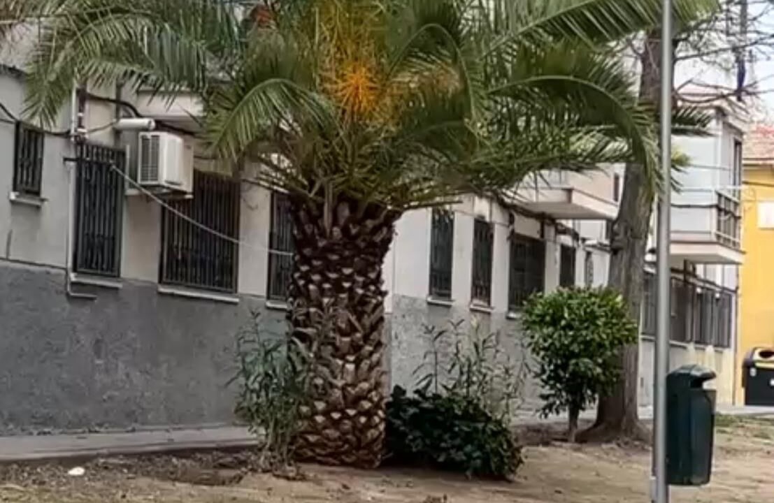 Photo of Outdoor in Villa de Vallecas