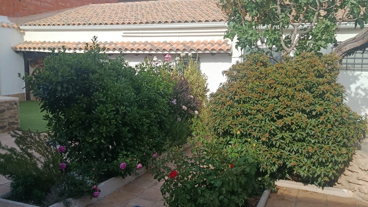 Photo of Outdoor in Arenales de San Gregorio