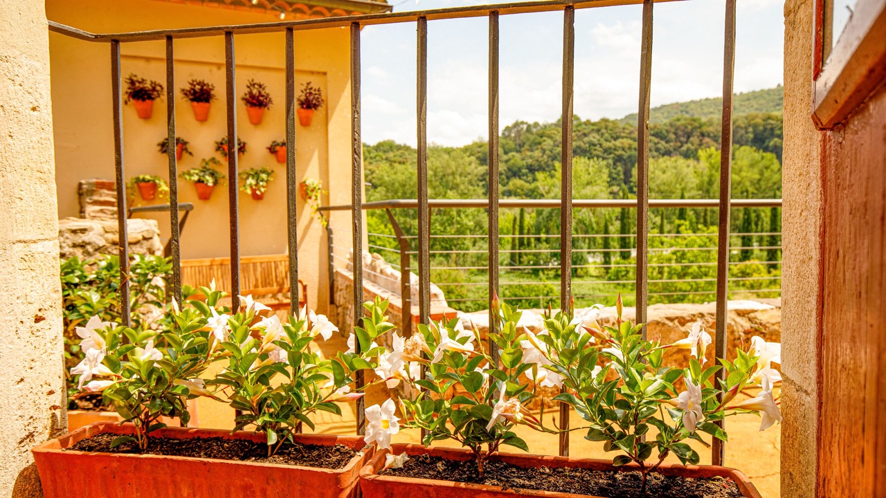 Photo of Outdoor in Besalu