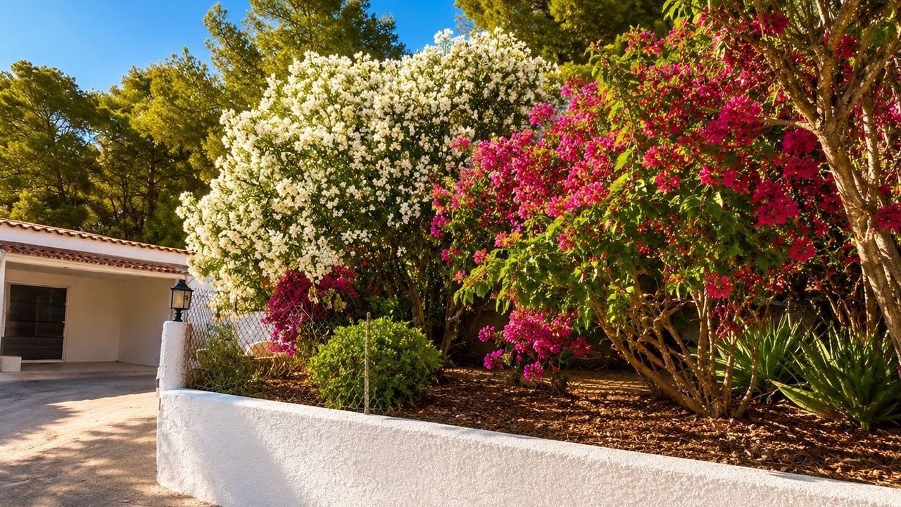 Photo of Outdoor in Ibiza Town