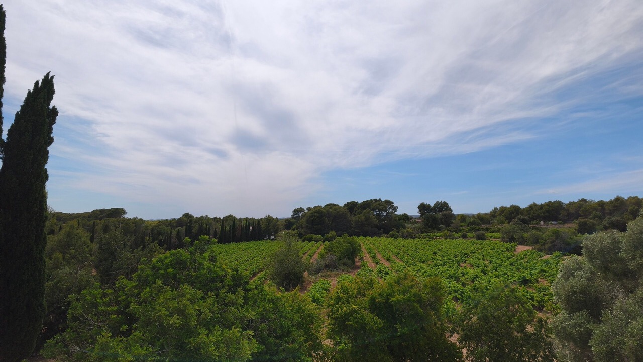 Photo of Others in Sant Pere de Ribes