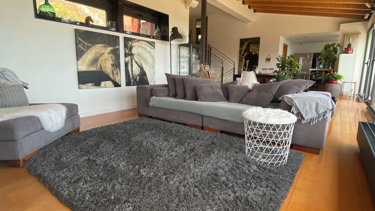 Photo of Livingroom in Alella Parc
